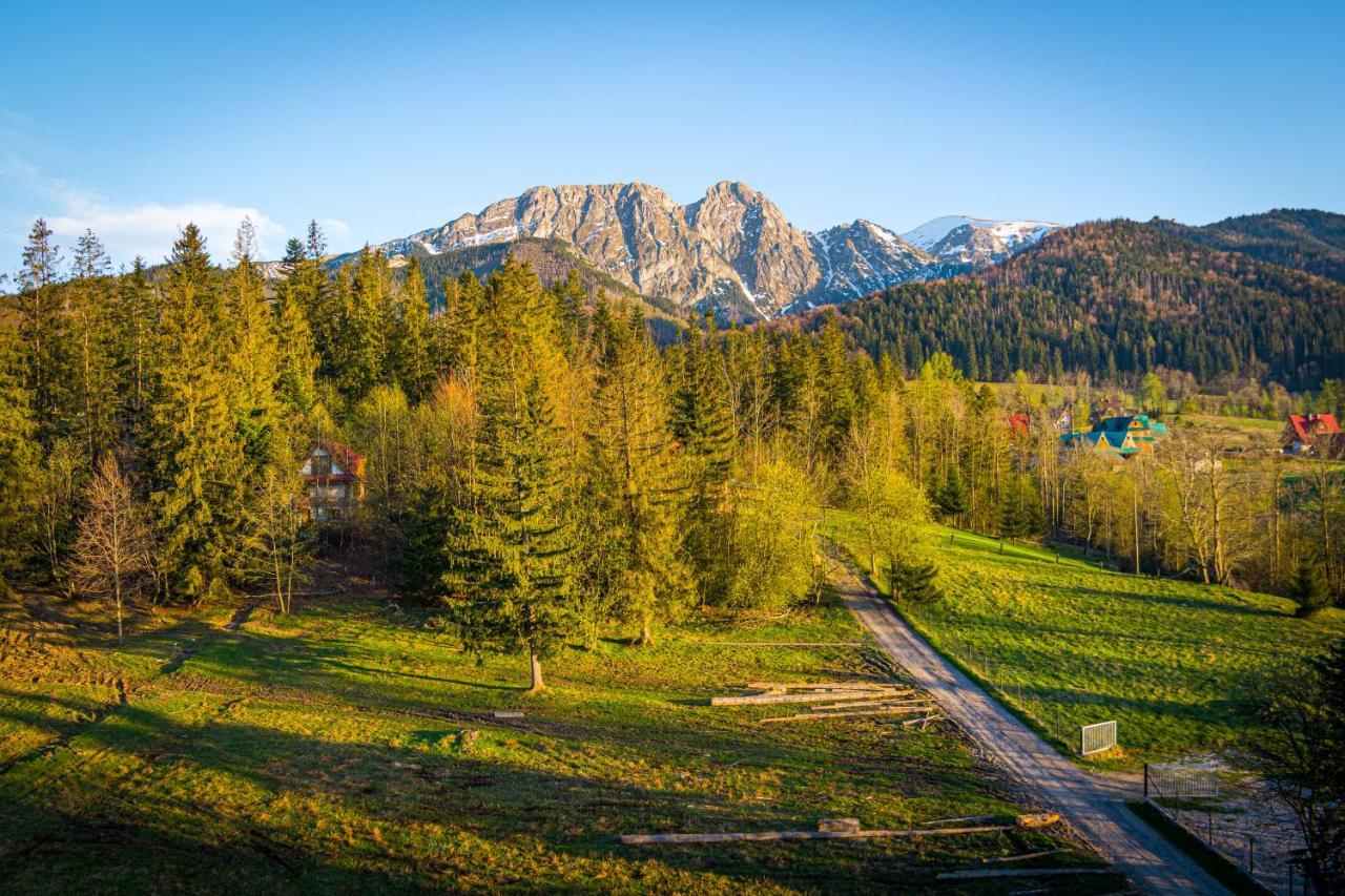 Bialy Mis Apartamenty Art & Design Zakopane Extérieur photo