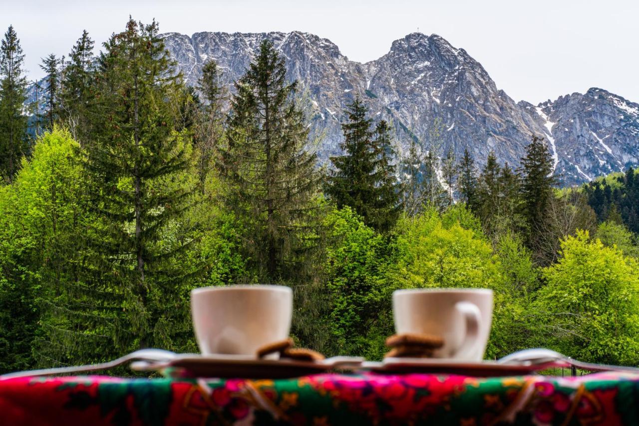 Bialy Mis Apartamenty Art & Design Zakopane Extérieur photo
